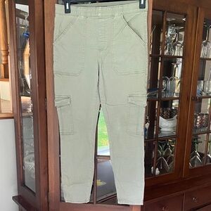 Sincerely Jules Women's green Skinny Pants